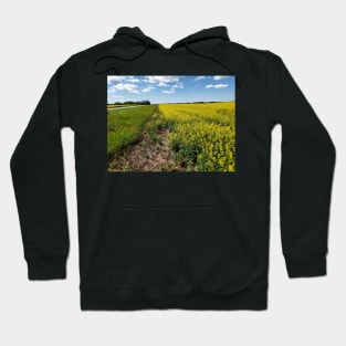 Country Road take me home Hoodie